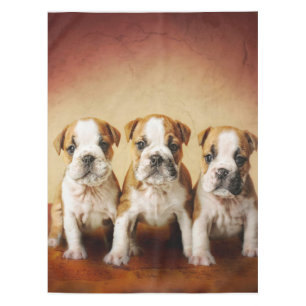 English Bulldog Puppies Really Cute Tablecloth
