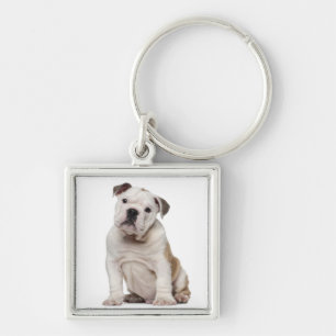 English bulldog puppy (2 months old) key ring