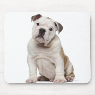 English bulldog puppy (2 months old) mouse pad