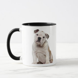 English bulldog puppy (2 months old) mug