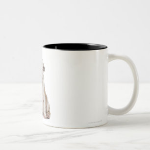 English bulldog puppy (2 months old) Two-Tone coffee mug