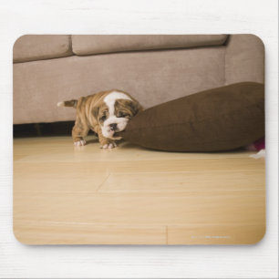 English Bulldog puppy biting pillow Mouse Pad