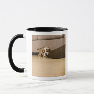 English Bulldog puppy biting pillow Mug