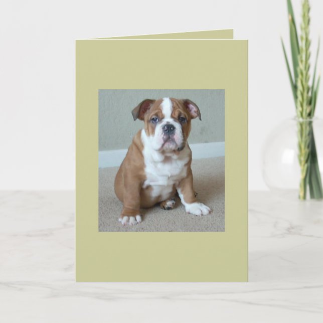English Bulldog Puppy Card (Front)