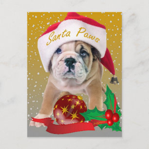 English Bulldog Puppy Christmas Cards