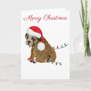 English Bulldog Puppy Christmas Holiday Card