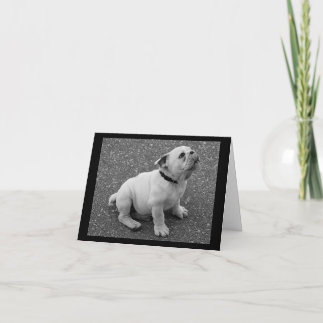 English Bulldog Puppy Dog Blank Greeting Note Card (Front)