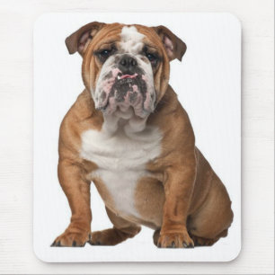 English Bulldog Puppy Dog Canine Mousepad