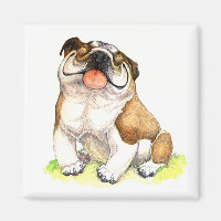 English Bulldog Puppy Dog  Cartoon Magnet