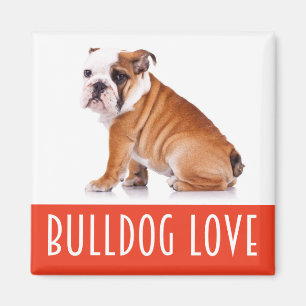 English Bulldog Puppy Dog Love Magnet