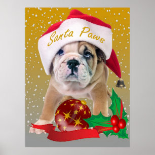 English bulldog puppy in Santa Hat Print
