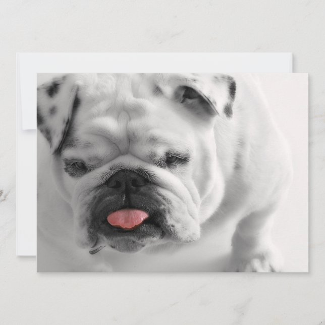 English Bulldog Puppy Invitation (Front)