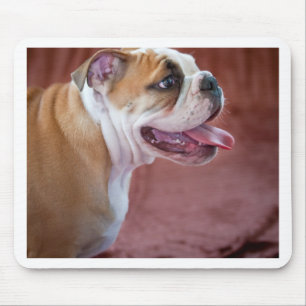 English bulldog puppy mouse pad