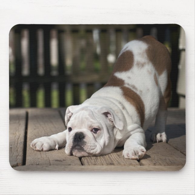 English Bulldog Puppy Mouse Pad (Front)