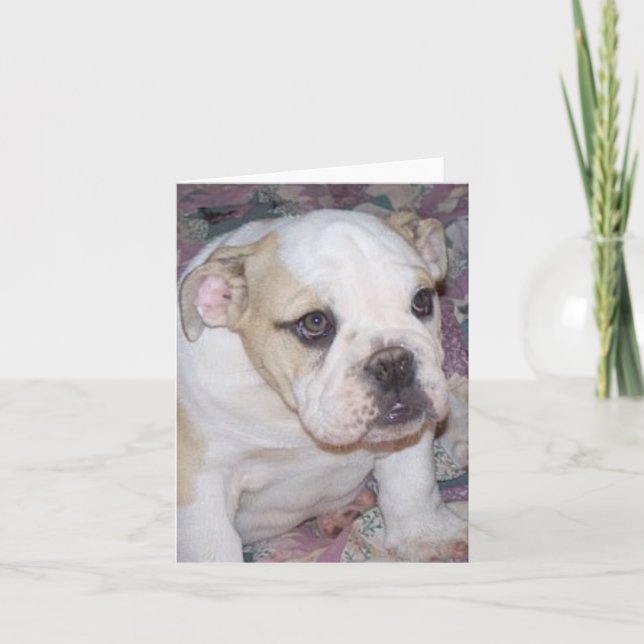 English Bulldog Puppy Notecard (Front)