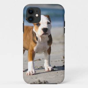 english bulldog puppy on the beach iPhone 11 case