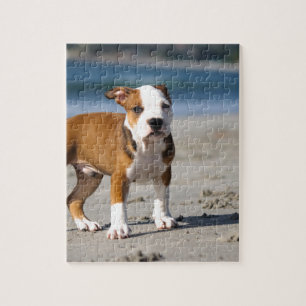 english bulldog puppy on the beach jigsaw puzzle