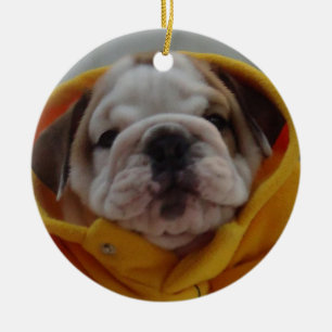 English Bulldog Puppy Ornament