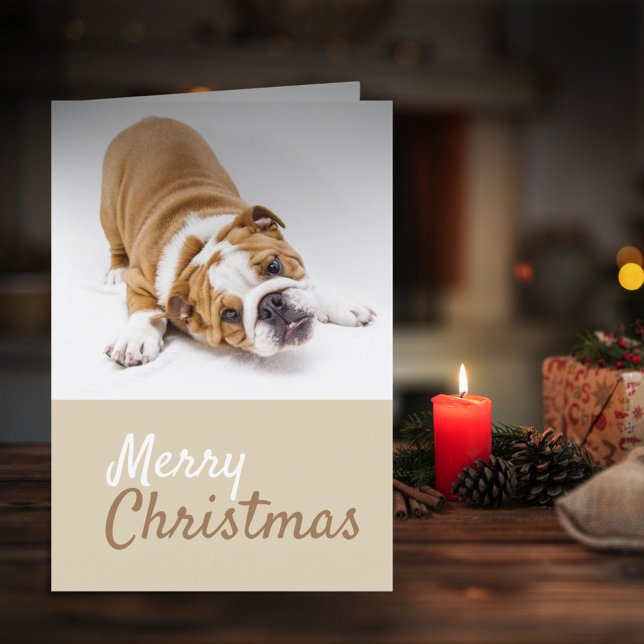 English Bulldog Puppy Photo Christmas Custom Holiday Card (Creator Uploaded)