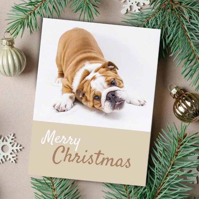 English Bulldog Puppy Photo Christmas Custom Holiday Postcard (Creator Uploaded)