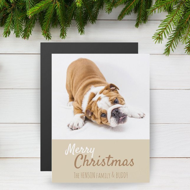 English Bulldog Puppy Photo Christmas Magnet Card (Creator Uploaded)