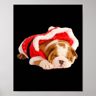 English Bulldog Puppy Santa Costume Fun Christmas Poster