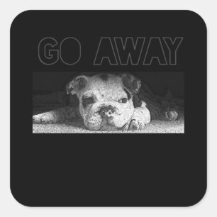 English Bulldog Puppy Social Distancing Go Away Square Sticker