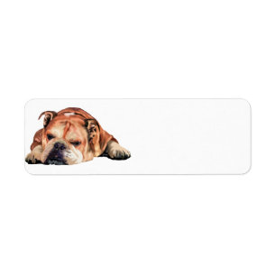 English Bulldog Return Address Label