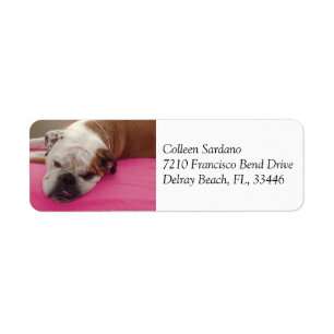 English Bulldog Return Address Label