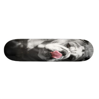 english bulldog skateboard