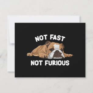 English Bulldog Sleeping Not Fast Not Furious Funn