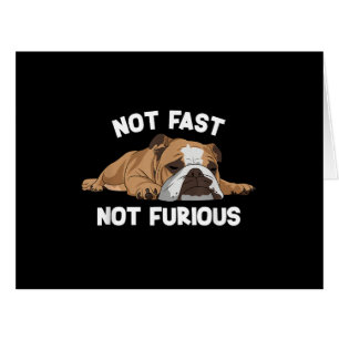 English Bulldog Sleeping Not Fast Not Furious Funn