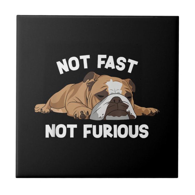 English Bulldog Sleeping Not Fast Not Furious Funn Ceramic Tile (Front)