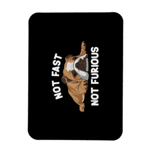 English Bulldog Sleeping Not Fast Not Furious Funn Magnet