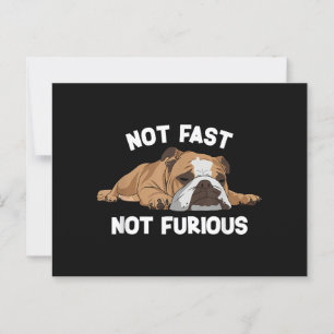 English Bulldog Sleeping Not Fast Not Furious Funn Postcard