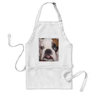 english bulldog standard apron