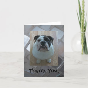 English bulldog Thank You note cards! Card