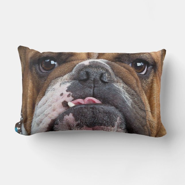 English Bulldog  Throw Pillow (Front)