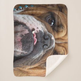 English Bulldog  Throw Pillow