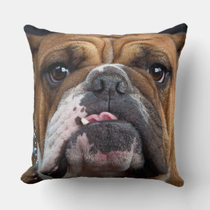 English Bulldog Throw Pillow