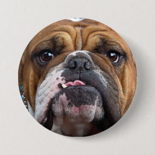English Bulldog  Throw Pillow 7.5 Cm Round Badge