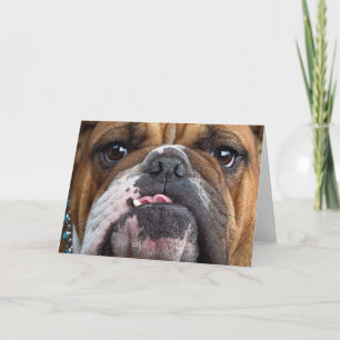 English Bulldog  Throw Pillow Card