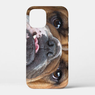 English Bulldog  Throw Pillow iPhone 12 Mini Case