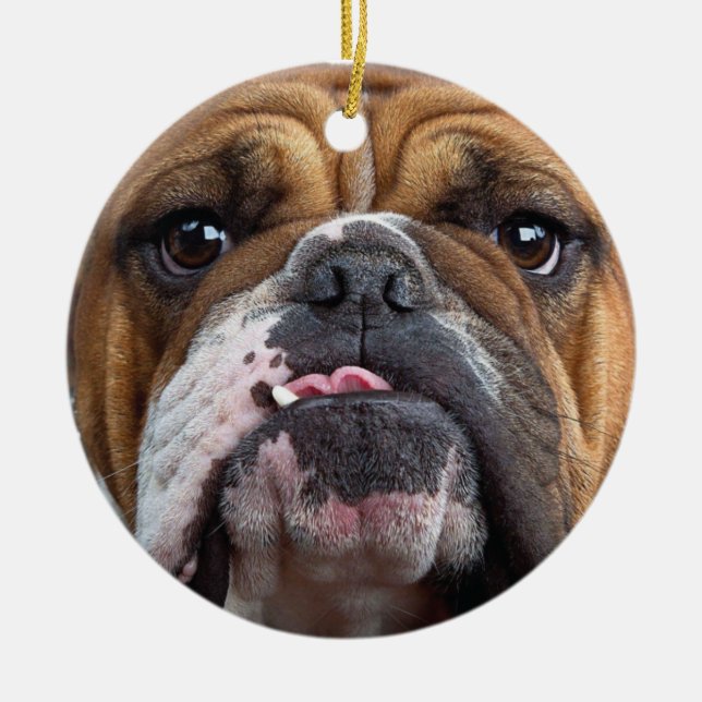 English Bulldog  Throw Pillow Ceramic Ornament (Front)