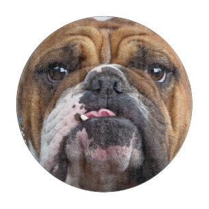 English Bulldog  Throw Pillow Cutting Board