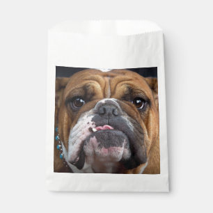 English Bulldog  Throw Pillow Favour Bag