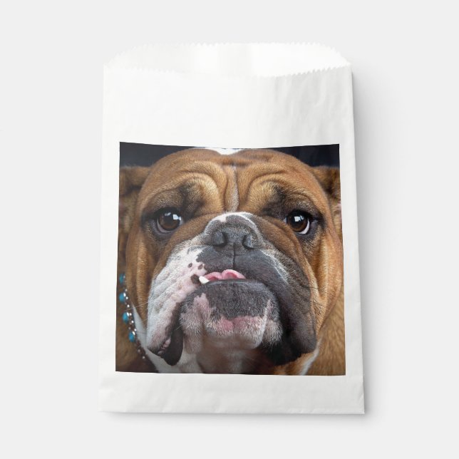 English Bulldog  Throw Pillow Favour Bag (Front)