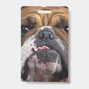 English Bulldog  Throw Pillow ID Badge
