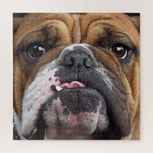English Bulldog  Throw Pillow Jigsaw Puzzle
