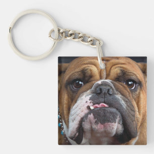 English Bulldog  Throw Pillow Key Ring